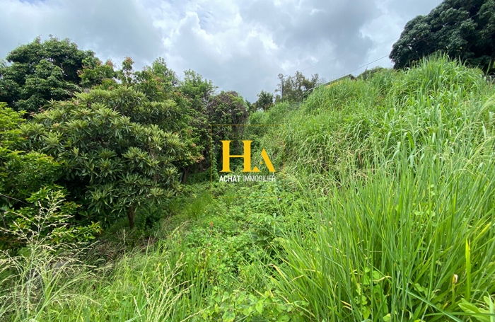 Vente Terrain 450.32m&sup2; L'Entre Deux