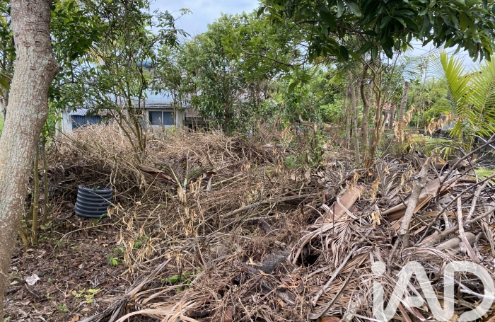 Vente Maison 90m&sup2; 6 pièces Les Avirons