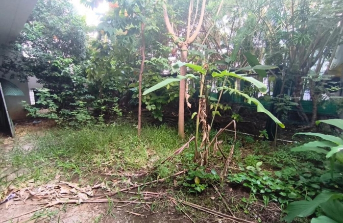 Location Appartement 100m&sup2; 4 pièces Saint Denis