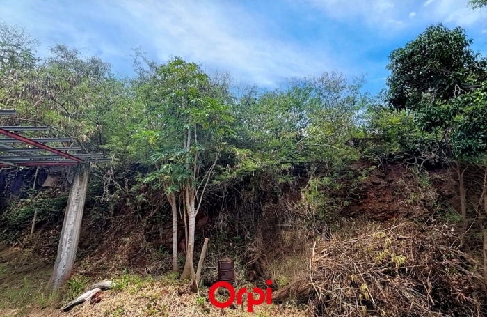 Vente Terrain 733m&sup2; Sainte Marie