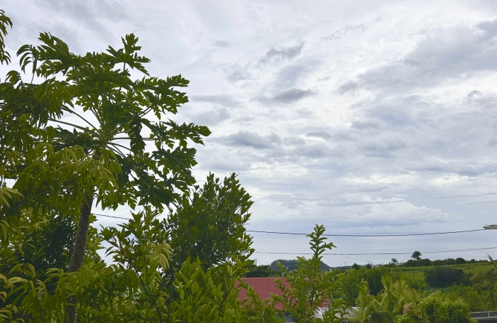 SAINT JOSEPH  97480 - TERRAIN AVEC VUE MER - AU CALME - FACILE D'ACCES