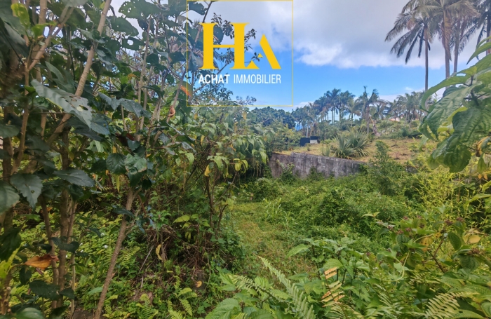 Vente Maison 88m&sup2; 4 pi&egrave;ces Saint Philippe