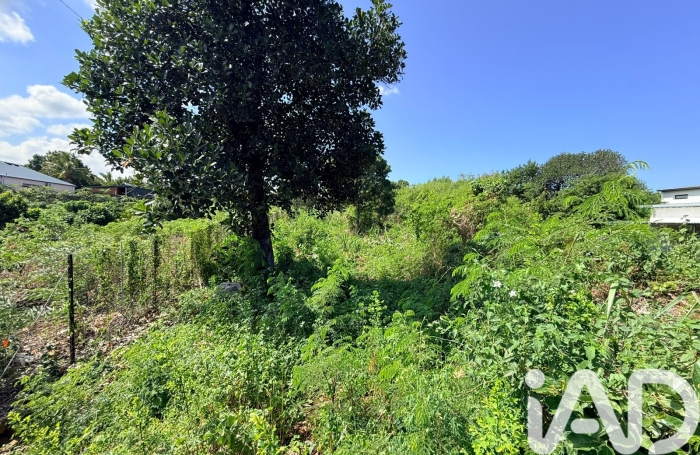 Vente Terrain 300m&sup2; Rivi&egrave;re Saint Louis