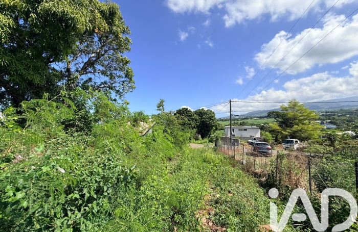 Vente Terrain 300m&sup2; Rivi&egrave;re Saint Louis