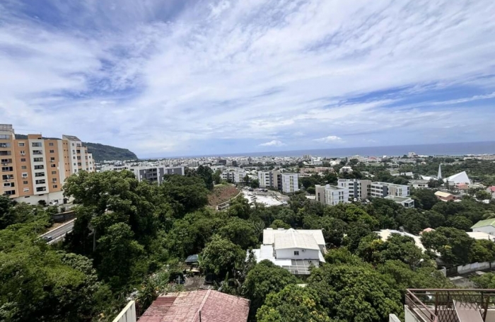 Vente Appartement 97400