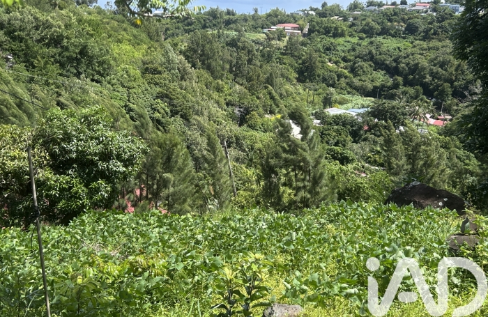 Vente Terrain 1795m&sup2; La Montagne