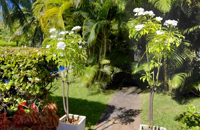 VILLA F4 piscine plus d&eacute;pendance et garage