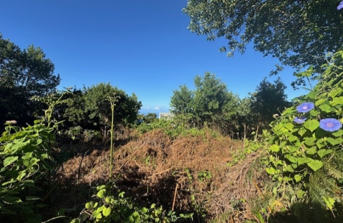 Parcelle constructible proche du centre ville LE TAMPON