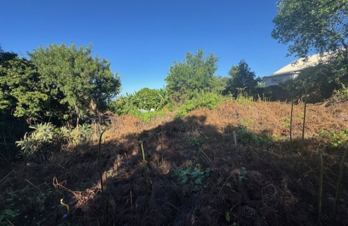 Parcelle constructible proche du centre ville LE TAMPON