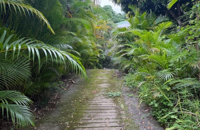 Vente Terrain 473m&sup2; Saint Paul