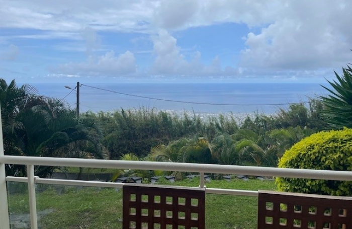 A louer tr&egrave;s beau T3 meubl&eacute;, libre fin mars &agrave; Saint Denis Bellepierre