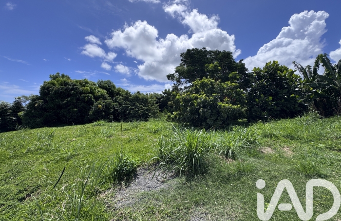 Vente Terrain 1854m&sup2; Sainte Marie