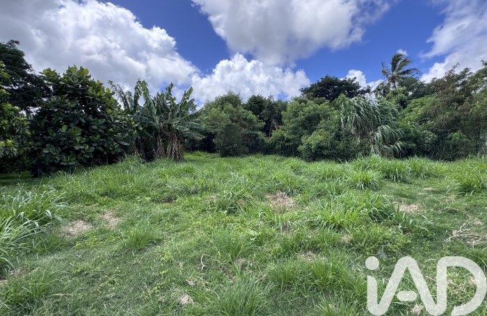 Vente Terrain 1854m&sup2; Sainte Marie