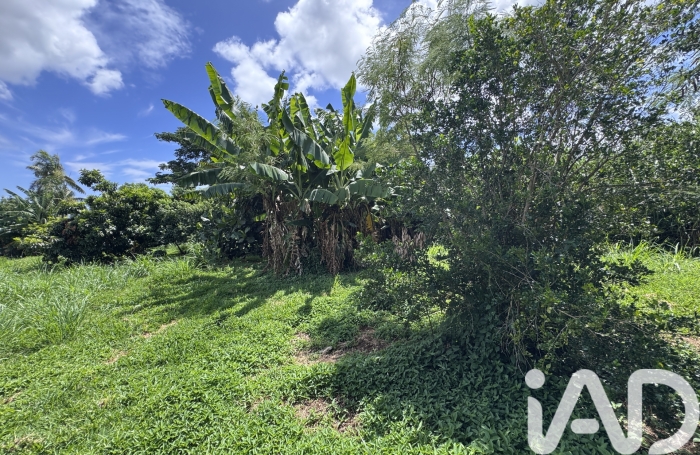 Vente Terrain 1854m&sup2; Sainte Marie