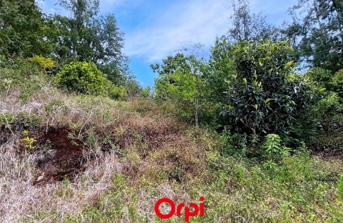 Vente Terrain 4289m&sup2; Salazie