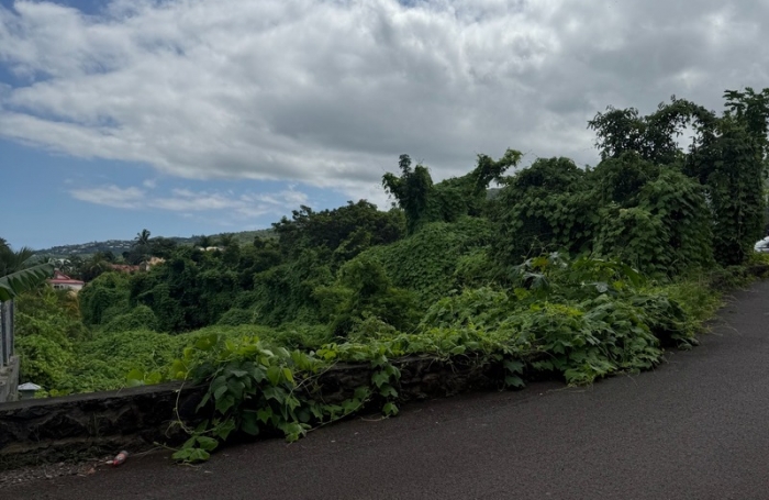 Vente Terrain 2208m&sup2; La Possession