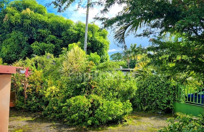 Vente Maison 300m&sup2; 11 pièces Sainte Rose