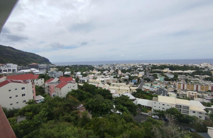 Location Appartement 54m&sup2; 2 pièces Saint Denis