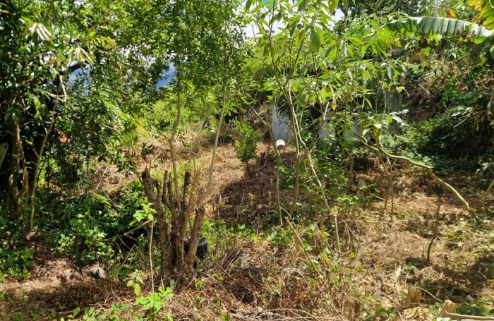 Vente Maison 90m&sup2; 2 pièces Cilaos