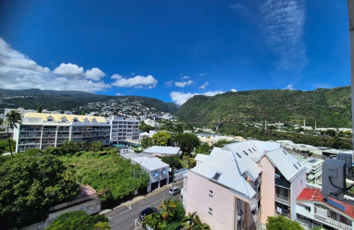 Appartement T3/4 meubl&eacute; en Centre-ville de St Denis