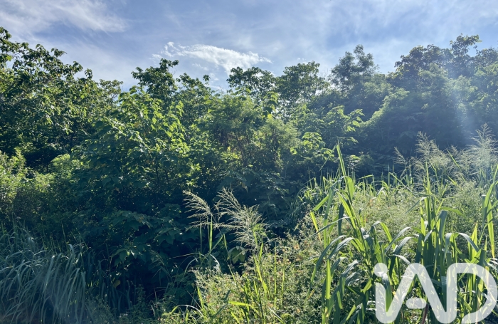 Vente Terrain 1831m&sup2; Piton Saint Leu