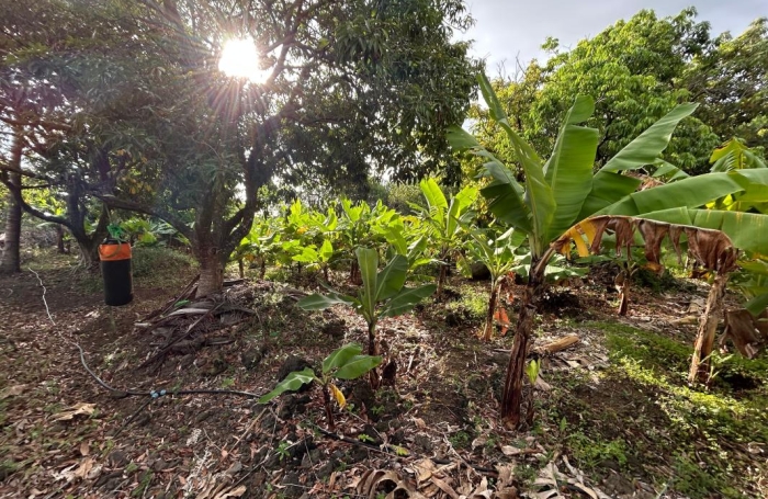 Vente Terrain 544m&sup2; Ravine des Cabris