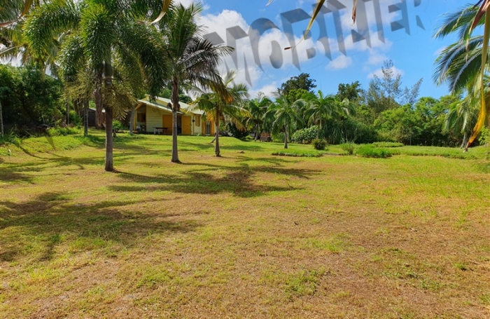 Location Maison 83m&sup2; 4 pi&egrave;ces Piton Saint Leu