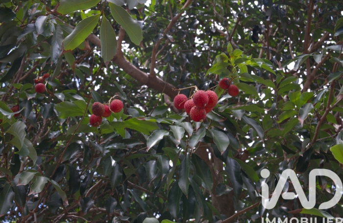 Vente Divers 223m&sup2; 7 pièces Les Avirons