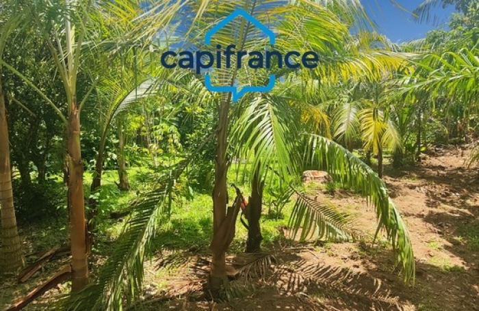 Location Maison 118m&sup2; 7 pièces Sainte Rose