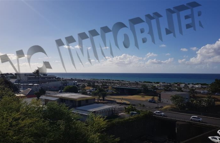 Location Appartement 50m&sup2; 2 pi&egrave;ces Saint Denis