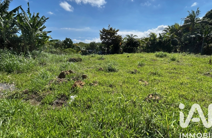 Vente Terrain 97429