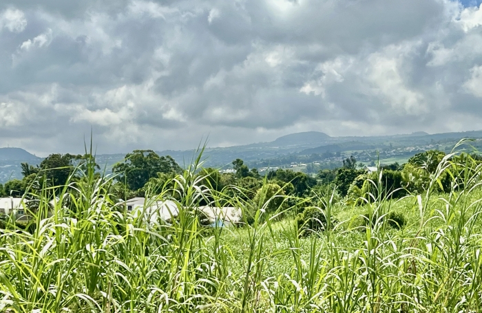 TAMPON 97430 - MAISON DE PLAIN-PIED - FORT POTENTIEL - SECTEUR AGR&Eacute;ABLE