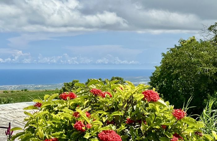 TAMPON 97430 - MAISON DE PLAIN-PIED - FORT POTENTIEL - SECTEUR AGR&Eacute;ABLE