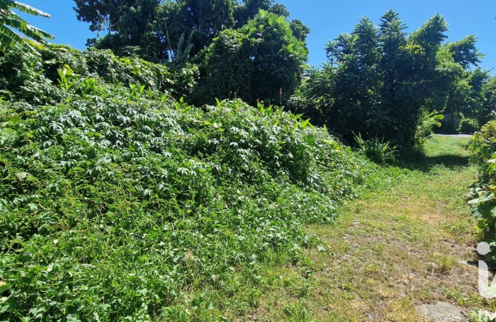 Vente Terrain 626m&sup2; Sainte Anne