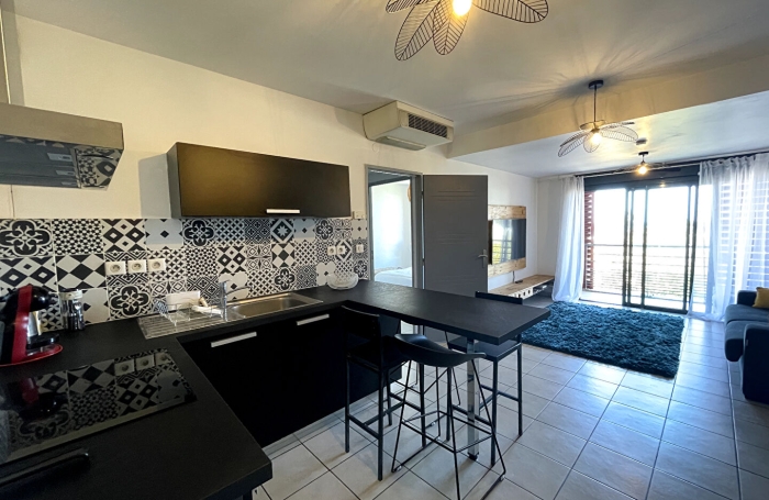 Location Appartement 43.72m&sup2; 2 pi&egrave;ces Saint-Pierre