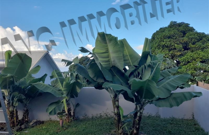 Location Maison 90m&sup2; 4 pi&egrave;ces Rivi&egrave;re Saint Louis