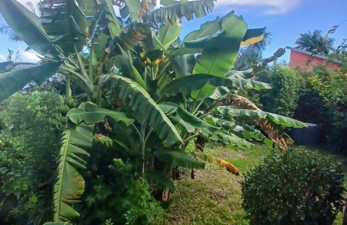 Vente Maison 80m&sup2; 4 pièces Petite &icirc;le