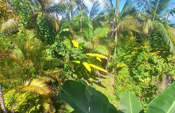 Vente Maison 80m&sup2; 4 pièces Petite &icirc;le