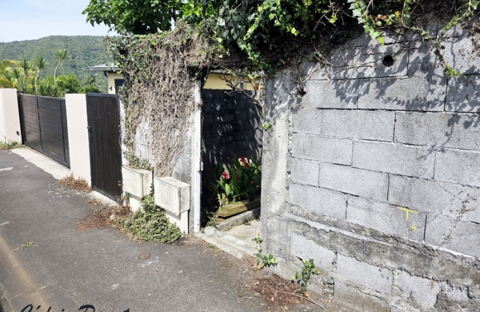 Vente Maison 97421