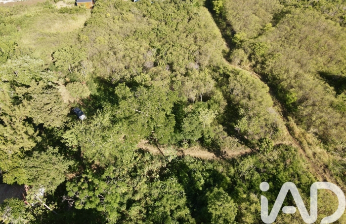 Vente Terrain 1645m&sup2; Saint-Leu