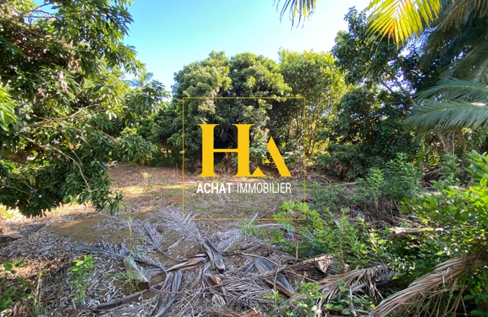 Vente Terrain 620m&sup2; Saint Joseph