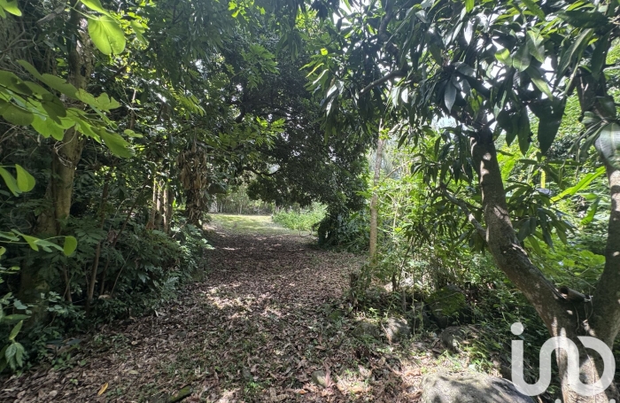 Vente Terrain 3000m&sup2; Bois de Nefles St Paul