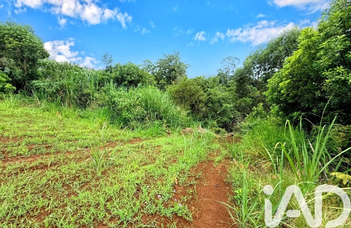 Vente Terrain 632m&sup2; Saint-Pierre