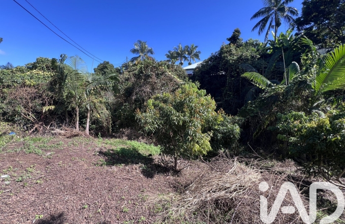 Vente Terrain 97430