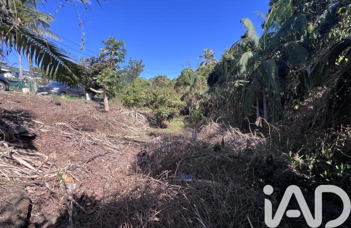 Vente Terrain 1230m&sup2; Le Tampon