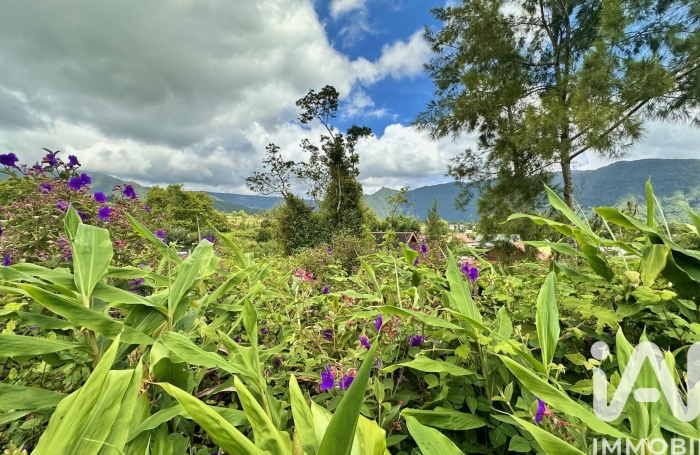 Vente Terrain 1090m&sup2; Plaine des Palmistes