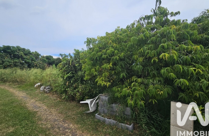 Vente Terrain 594m&sup2; Ravine des Cabris