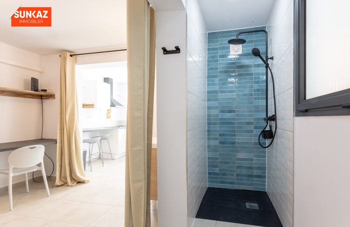 Location Appartement 20m&sup2; 1 pi&egrave;ce Saint-Pierre