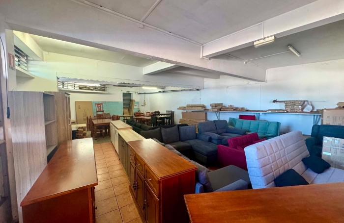 IMMEUBLE SUR PETIT ILE CENTRE VILLE  A RENOVER