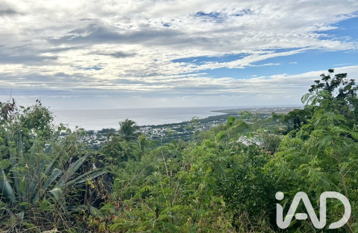 Vente Terrain 97460
